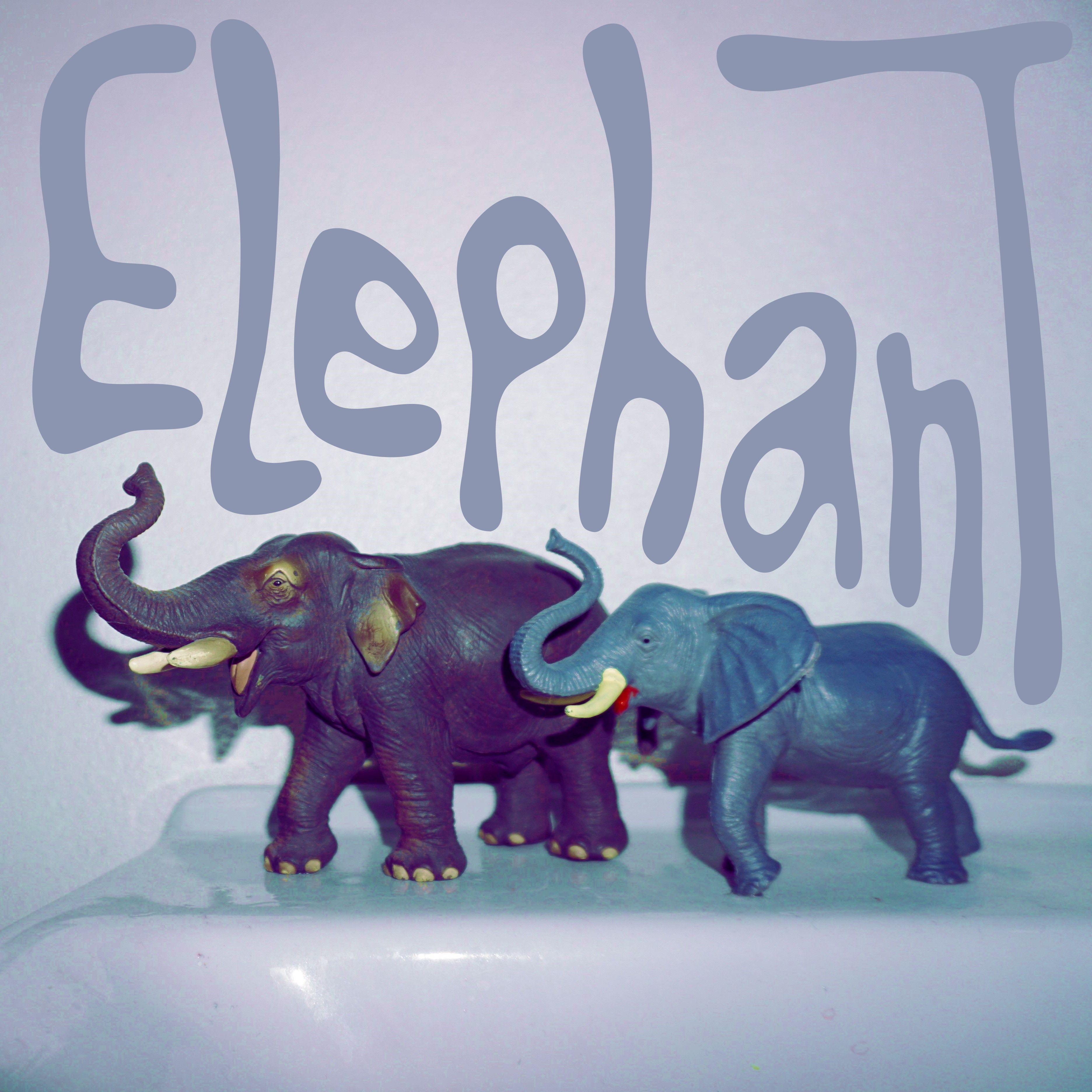 Elephant Cover